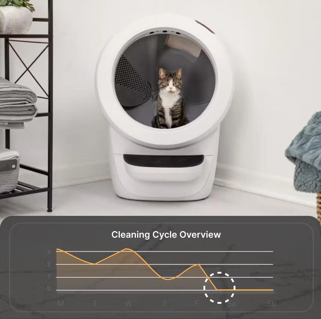 Check for irregular bathroom behavior