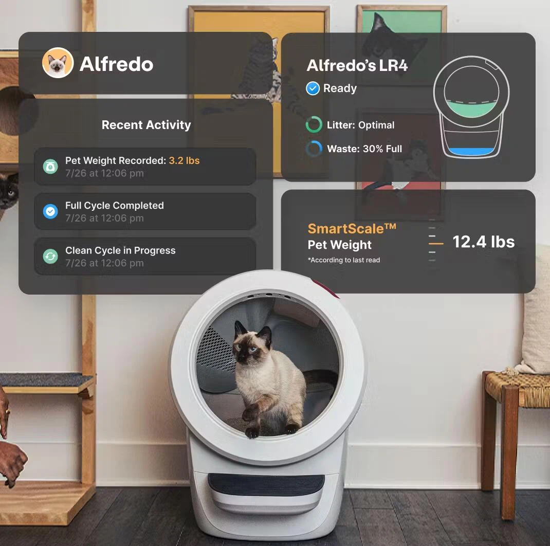 Real-time status updates & alerts